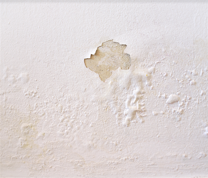 paint on a wall bubbling up from water damage